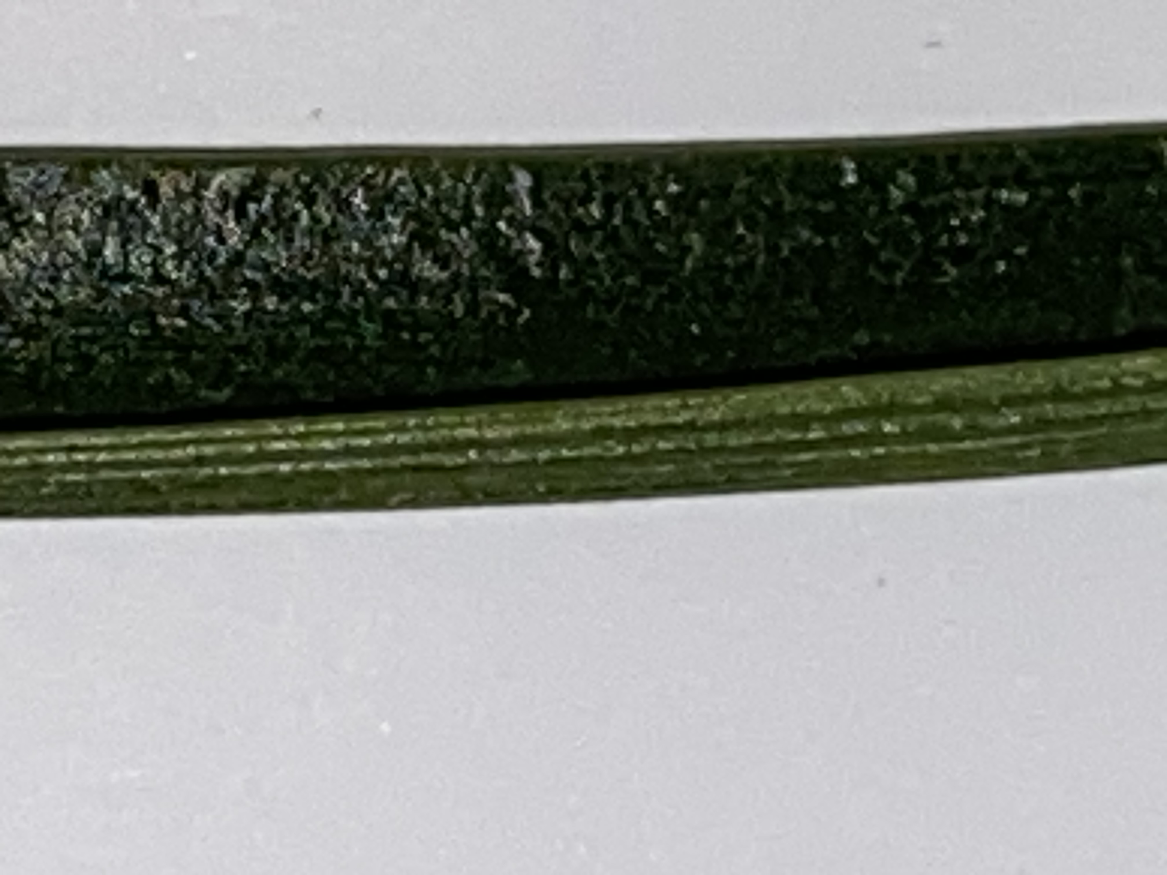 Leaflets are thin and prominently concave from edge to edge. Image